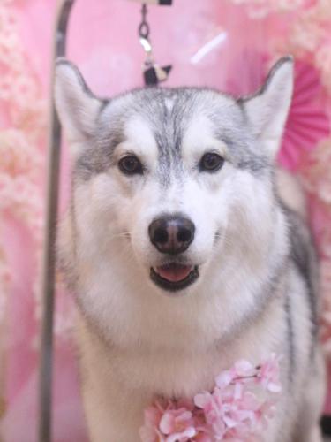 20250312てるくん